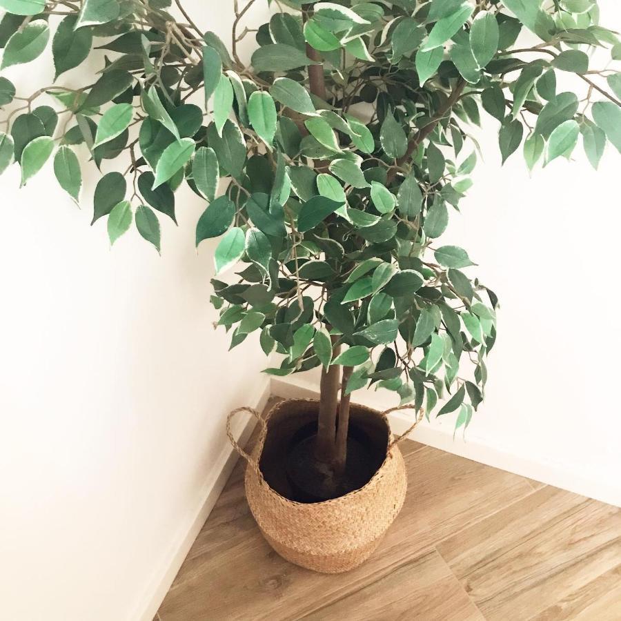 Caique - Apartamento Com 3 Quartos Na Zona Tipica De Olhao, Algarve, Portugal מראה חיצוני תמונה